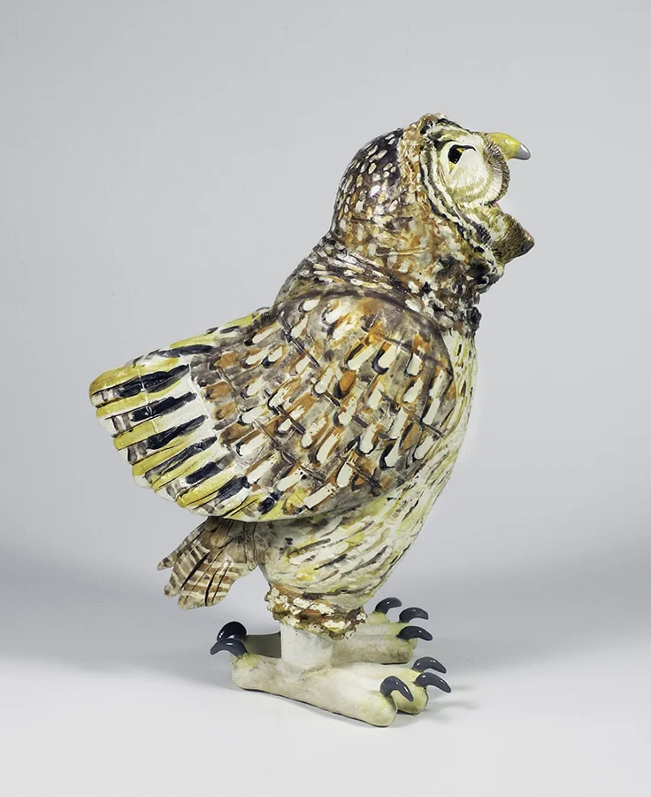 Owl — Paula Bellacera